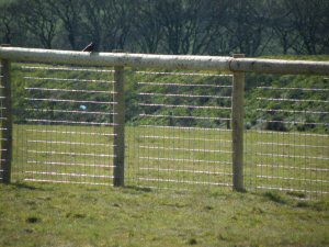Horse Fencing