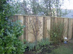 Close Board Fencing